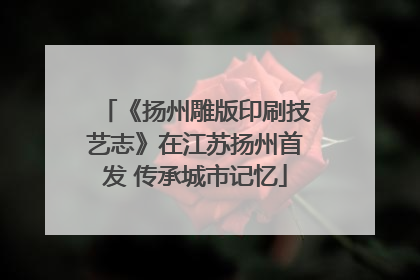 《扬州雕版印刷技艺志》在江苏扬州首发 传承城市记忆