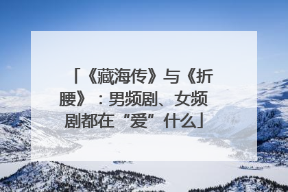 《藏海传》与《折腰》：男频剧、女频剧都在“爱”什么
