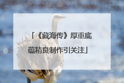 《藏海传》厚重底蕴精良制作引关注