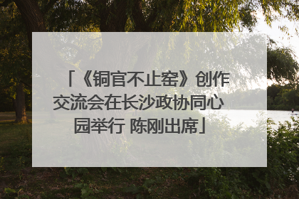 《铜官不止窑》创作交流会在长沙政协同心园举行 陈刚出席