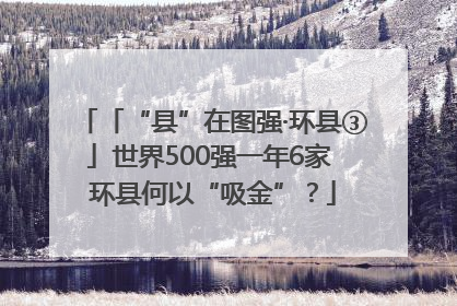 「“县”在图强·环县③」世界500强一年6家 环县何以“吸金”？