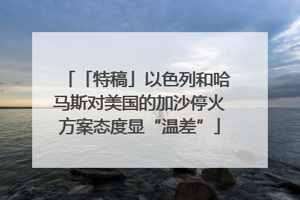 「特稿」以色列和哈马斯对美国的加沙停火方案态度显“温差”