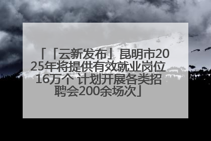 「云新发布」昆明市2025年将提供有效就业岗位16万个 计划开展各类招聘会200余场次