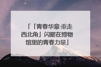「青春华章·重走西北角」闪耀在博物馆里的青春力量