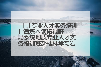 【专业人才实务培训】锤炼本领拓视野——局系统地质专业人才实务培训班赴桂林学习岩溶地质防灾与韧性城市建设前沿实践