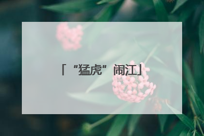 “猛虎”闹江