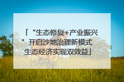 “生态修复+产业振兴”开启沙地治理新模式 生态经济实现双效益