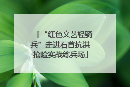 “红色文艺轻骑兵”走进石首抗洪抢险实战练兵场