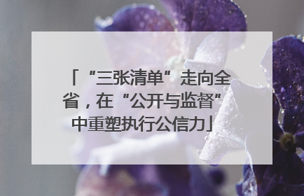 “三张清单”走向全省，在“公开与监督”中重塑执行公信力