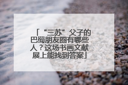 “三苏”父子的巴蜀朋友圈有哪些人？这场书画文献展上能找到答案