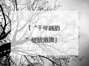 “千年越韵”绽放港澳