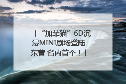 “加菲猫”6D沉浸MINI剧场登陆东营 省内首个！