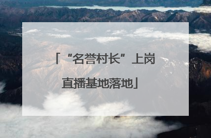 “名誉村长”上岗 直播基地落地