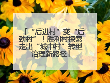 “后进村”变“后劲村”！胜利村探索走出“城中村”转型治理新路径