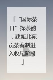 “国际茶日”探茶韵：建瓯北苑贡茶春制进入收尾阶段