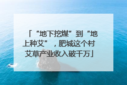 “地下挖煤”到“地上种艾”，肥城这个村艾草产业收入破千万