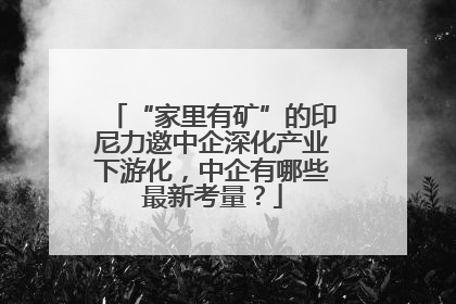 “家里有矿”的印尼力邀中企深化产业下游化，中企有哪些最新考量？