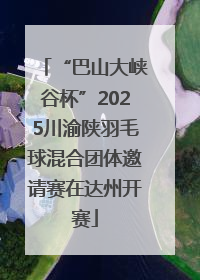 “巴山大峡谷杯”2025川渝陕羽毛球混合团体邀请赛在达州开赛