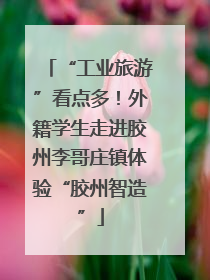 “工业旅游”看点多！外籍学生走进胶州李哥庄镇体验“胶州智造”