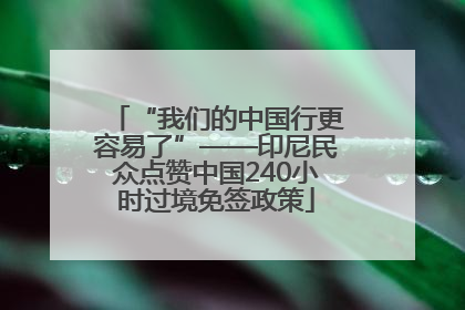 “我们的中国行更容易了”——印尼民众点赞中国240小时过境免签政策