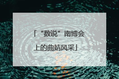 “数说”南博会上的曲靖风采