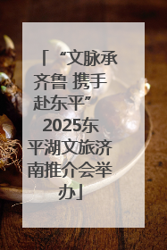 “文脉承齐鲁 携手赴东平” 2025东平湖文旅济南推介会举办