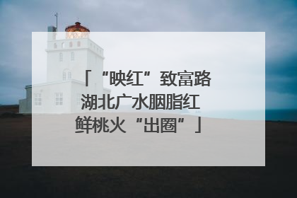“映红”致富路 湖北广水胭脂红鲜桃火“出圈”