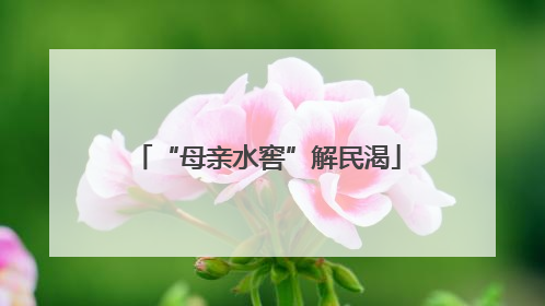 “母亲水窖”解民渴