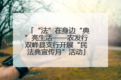 “法”在身边“典”亮生活——农发行双峰县支行开展“民法典宣传月”活动