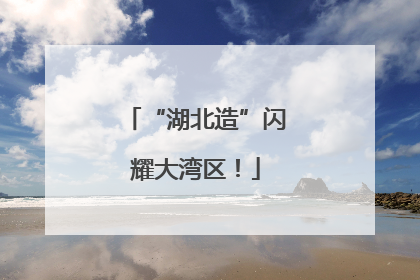 “湖北造”闪耀大湾区！