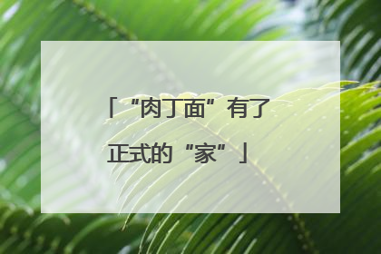 “肉丁面”有了正式的“家”
