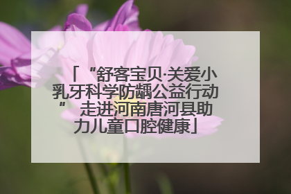 “舒客宝贝·关爱小乳牙科学防龋公益行动” 走进河南唐河县助力儿童口腔健康