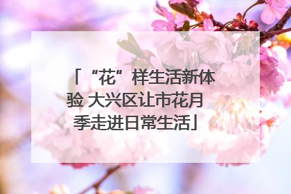 “花”样生活新体验 大兴区让市花月季走进日常生活
