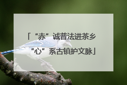 “赤”诚普法进茶乡 “心”系古镇护文脉