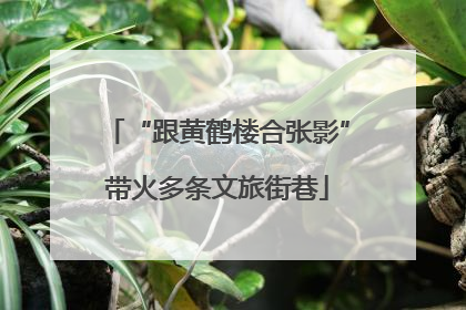 “跟黄鹤楼合张影”带火多条文旅街巷
