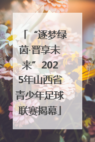 “逐梦绿茵·晋享未来”2025年山西省青少年足球联赛揭幕