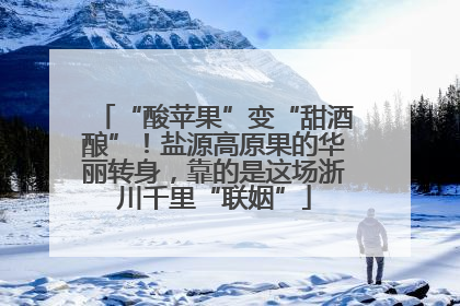 “酸苹果”变“甜酒酿”！盐源高原果的华丽转身，靠的是这场浙川千里“联姻”