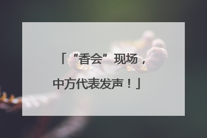 “香会”现场，中方代表发声！