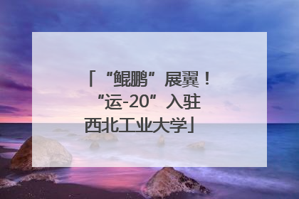“鲲鹏”展翼！“运-20”入驻西北工业大学