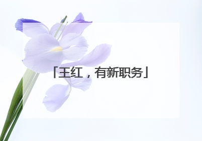 王红，有新职务