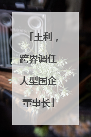王利，跨界调任大型国企董事长