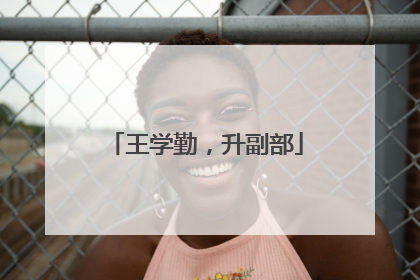 王学勤，升副部
