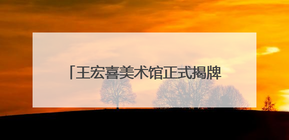 王宏喜美术馆正式揭牌！153 件艺术珍品 “ 回归 ” 连云港，并向市民免费开放