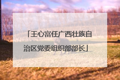 王心富任广西壮族自治区党委组织部部长
