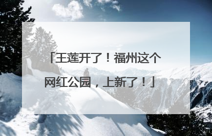 王莲开了！福州这个网红公园，上新了！