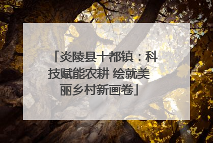 炎陵县十都镇：科技赋能农耕 绘就美丽乡村新画卷