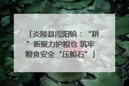 炎陵县霞阳镇：“耕”新聚力护粮仓 筑牢粮食安全“压舱石”