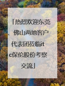 热烈欢迎东莞、佛山两地客户代表团莅临itc保伦股份考察交流