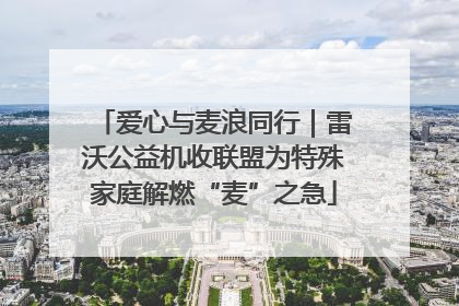 爱心与麦浪同行｜雷沃公益机收联盟为特殊家庭解燃“麦”之急