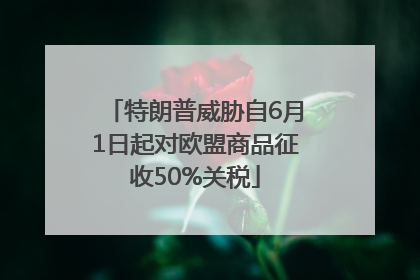 特朗普威胁自6月1日起对欧盟商品征收50%关税